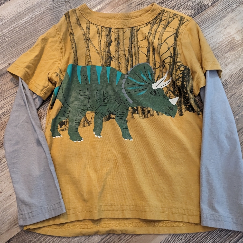 Boys Tea Collection shirt